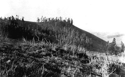 1906 Panorama Close Up